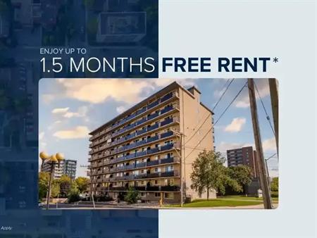 61 McEwen | 61 McEwen, Ottawa