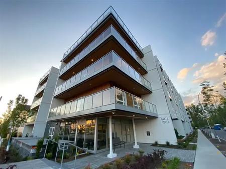 Aristotle | 8447 202 Street, Langley
