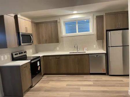 Brand New Basement Suite in Livingston NE! | Calgary