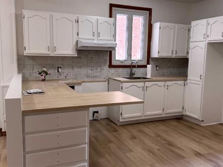 Grand appartement 5 1/2 sur St-Denis à 300m du Métro Jarry