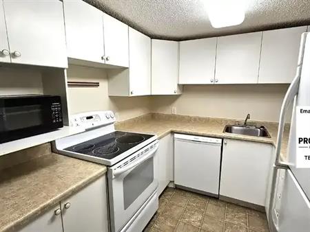 BIG WINDOW-XXL BEDROOM-CLOSE TO WEST EDMONTON MALL! DISHWASHER! OWN LAUNDRY! | 10747 127 Street, Edmonton