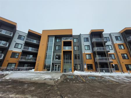 Albany Way | 503 Albany Way, Edmonton