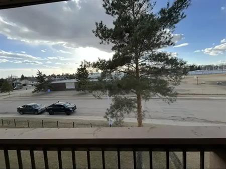 Bright and Cozy, 18+ 1 bed near Clareview LRT! | Edmonton