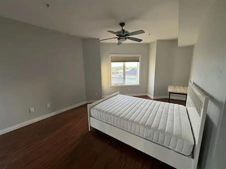 Master-Bedroom For Rent (Looking for Roommate) | 346 - 10121 80 Avenue NW, Edmonton