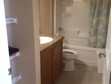 Cozy Two Bedroom walkout basement suite | Evansborough Way NW, Calgary