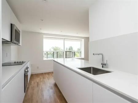 55-56 Eccleston Drive | 55 Eccleston Drive, Toronto