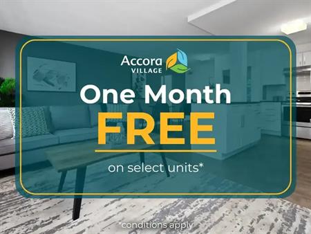 The Coral | 41 Woodridge Crescent, Ottawa