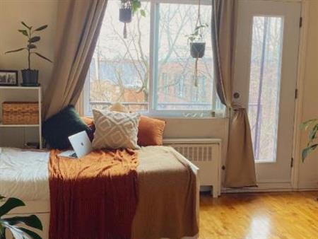 Studio - Montréal - $1,095 /mo