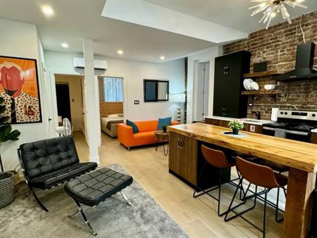 Plateau/Downtown - 3 Bedrooms Furnished