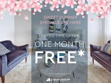 Bedford Gardens - 440 Cumberland Street & 245 Yates Street | 440 Cumberland Street, Cornwall