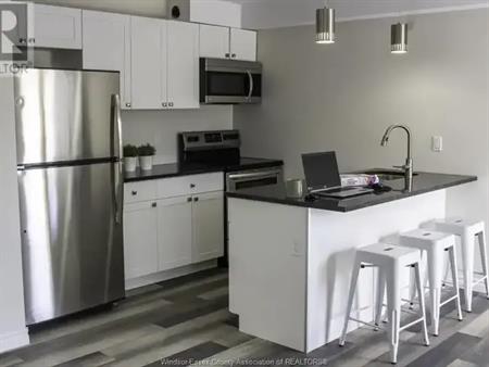 717 St. Antoine Unit# 3 | 717 St. Antoine Unit# 3, Windsor
