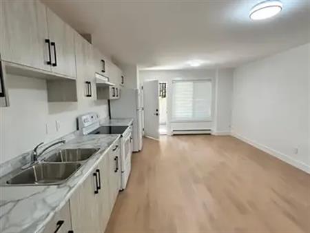 Brand New 2 Bed Basement Suite in Fraser Heights – Never Lived In! | 9777 177B Street, Surrey