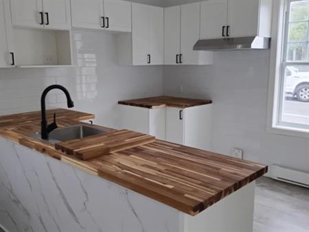 Appartement 4 1/2 à Louer