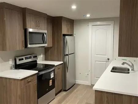 Brand New and Modern Basement Suite | 495 Union Avenue SE, Calgary