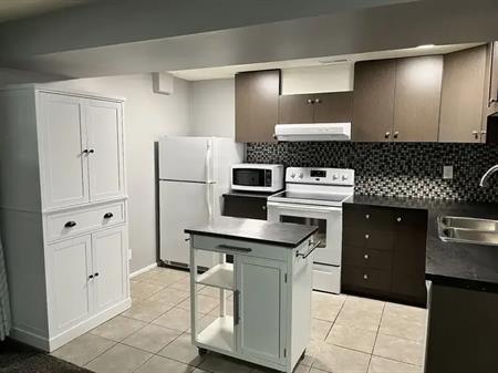 Charming, Modern and Legal Basement Suite in Bowness | Calgary