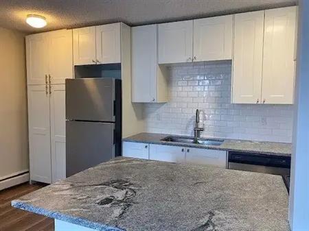 Renovated 2 Bedroom Condo in Cozy Glenbrook | 302 - 3518 44 St SW, Calgary