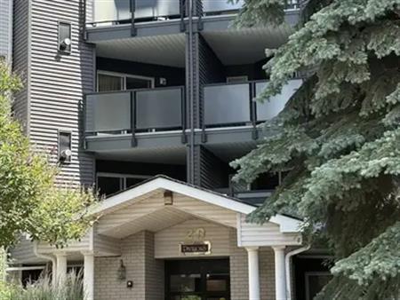 Bright, Spacious 2 Bed, 2 Bath Condo w Balcony, Fireplace & Underground Parking | 218 - 20 Sierra Morena Mews Southwest, Calg