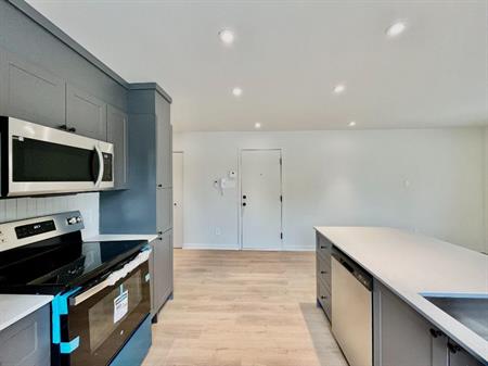 Beau 4.5 rénové dans Villeray