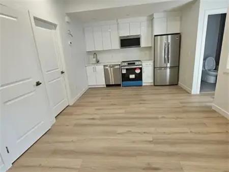 Brand New 1 Bed/1 Bath Basement Suite in Killarney – Bright & Beautiful! | 1936 35 Street Southwest, Calgary