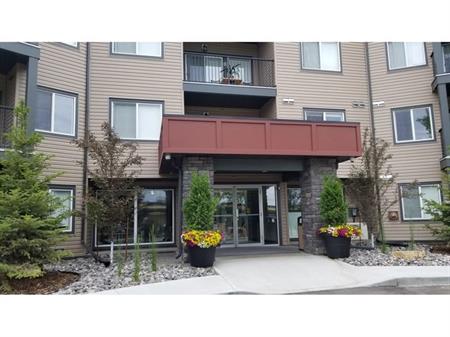 South West Edmonton ONE BEDROOM Apartment for rent  (5 YEAR OLD BUILDING) | 11511 27 Avenue Northwest, Edmonton