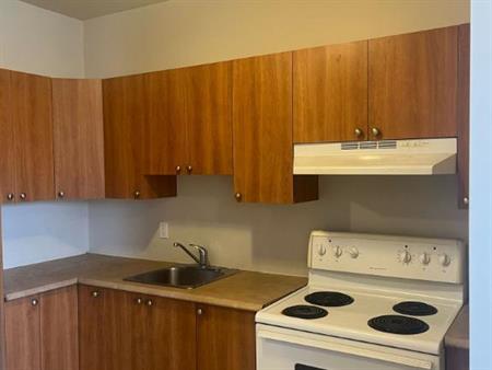4.5 lumineux – Saint-Sauveur, secteur paisible