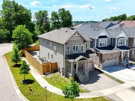 BASEMENT - 24 PLUMRIDGE CRESCENT | BASEMENT - 24 PLUMRIDGE CRESCENT, Cambridge
