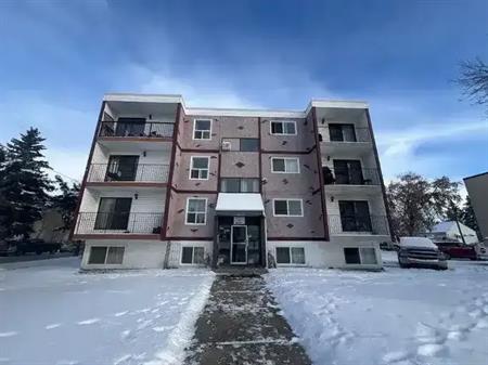 Brand new 1-bedroom unit just built | 5313 48 Avenue, Red Deer
