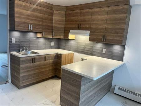 très beau 4 1/2 refait à neuf libre le 1er juillet