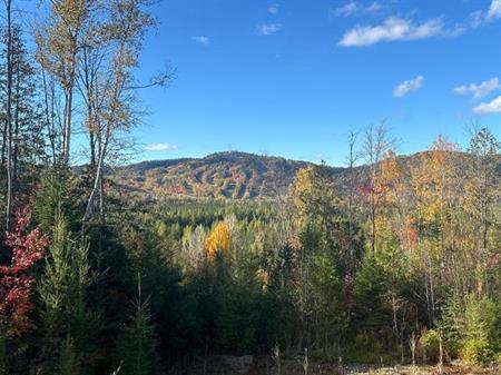 Terrain a vendre à Saint-Côme Lanaudière