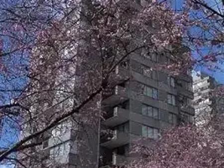 2310 West 2nd Ave | 2310 west 2nd Ave, Vancouver