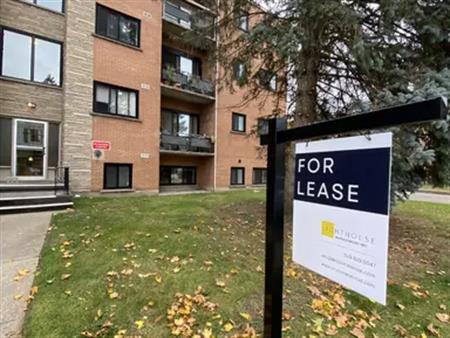 Renovated bachelor unit near Victoria Park! | 169 David Street, Kitchener