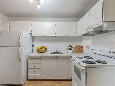 HIGHLAND PARK - NEWLY RENOVATED ONE BEDROOM ONE BATH CONDO | 3908 Centre A Street NE, Calgary