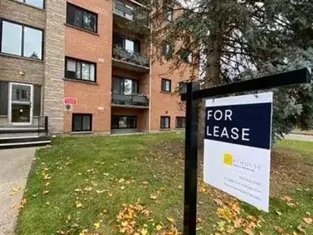 Renovated bachelor unit near Victoria Park! | 169 David Street, Kitchener