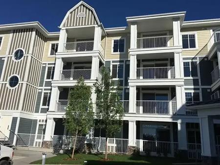 LUXURIOUS 2 BEDROOM 1 BATH APARTMENT/CONDO with A/C ! | Calgary