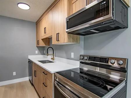 Newly Renovated | Red Deer