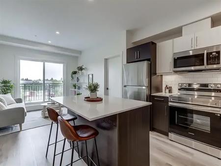 Luxury Apartment In Central Edmonton, North Glenora | 206 - 13803 109 Avenue, Edmonton