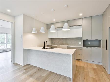 3 CH - 1 SDB - Sainte-Agathe-des-Monts - $1,850 /mo