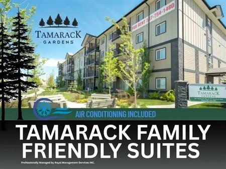 Tamarack Gardens | 707 Tamarack Way NW, Edmonton