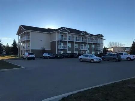Fully Furnished Studio Apartment | 5202 Woodland Road, Innisfail
