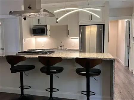 Exceptional 3 Bedroom, 2 Bath, Modern Kitchen, Open concept | Calgary