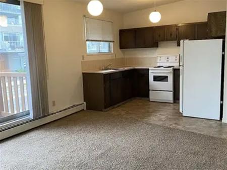 ONE BEDROOM APARTMENT IN KENSINGTON | Calgary