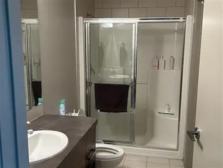 2 Bedroom Suite | 403 - 210 15 Ave SE, Calgary