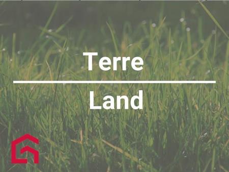 Terrain