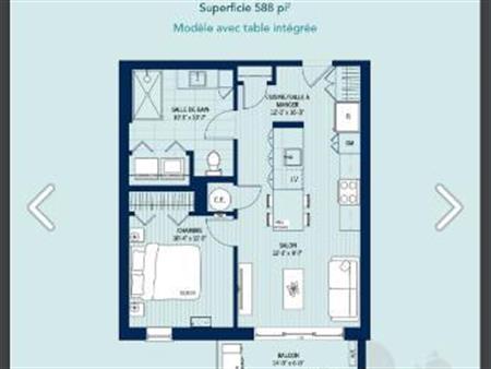 Appartement 3 1/2 chiens et chats acceptés