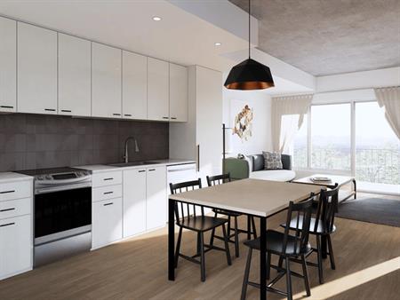 Villeray - Superbe Condo 3 1/2 Rénové