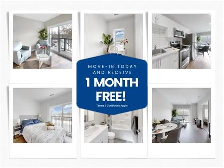 233 Dunlop | 233 Dunlop Street W, Barrie