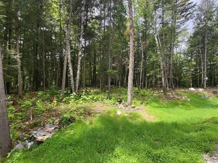 Terrain