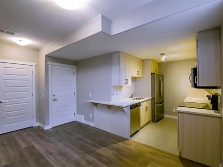 Exquisite 2 Bedroom Fully Legal Basement Suite in Secord! Available August 1! | 9835 225 Street Northwest, Edmonton