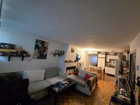 nice and big 3.5 apartment for rent