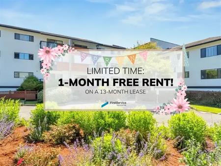 3205 Wetherby Rd | 3205 Wetherby Rd, Victoria